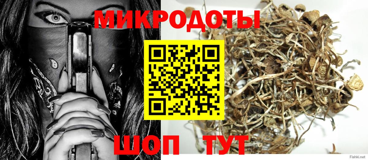 Галлюциногенные грибы мухоморы Вольск
