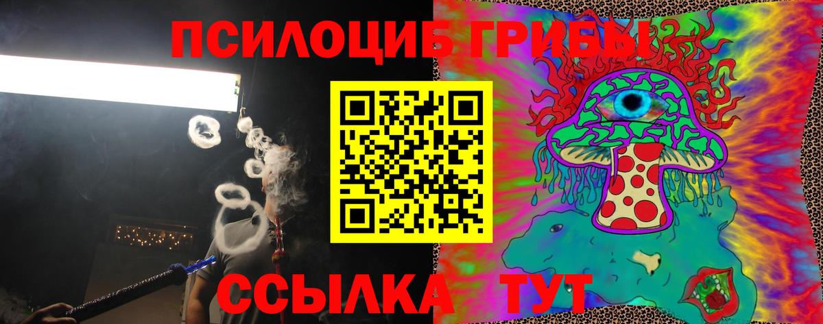Вольск  Псилоцибиновые грибы прущие грибы  Вход с VPN 